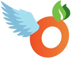 Flying Orange logo mark